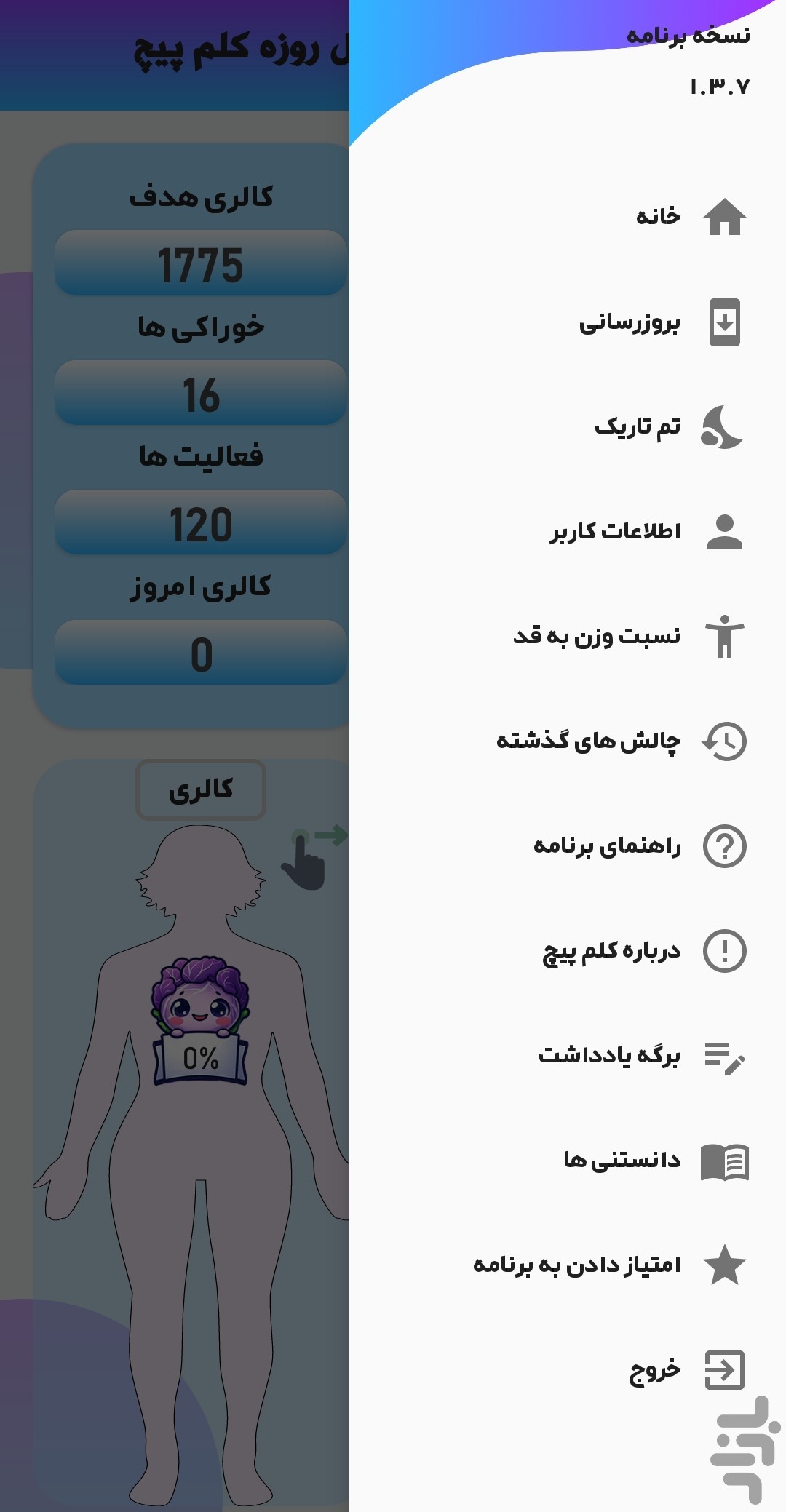 کلم پیچ - چالش کالری شماری چهل روزه — تصویر 8