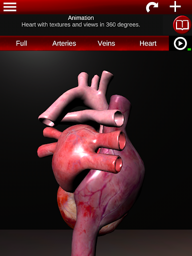 Circulatory System 3D Anatomy — تصویر 10
