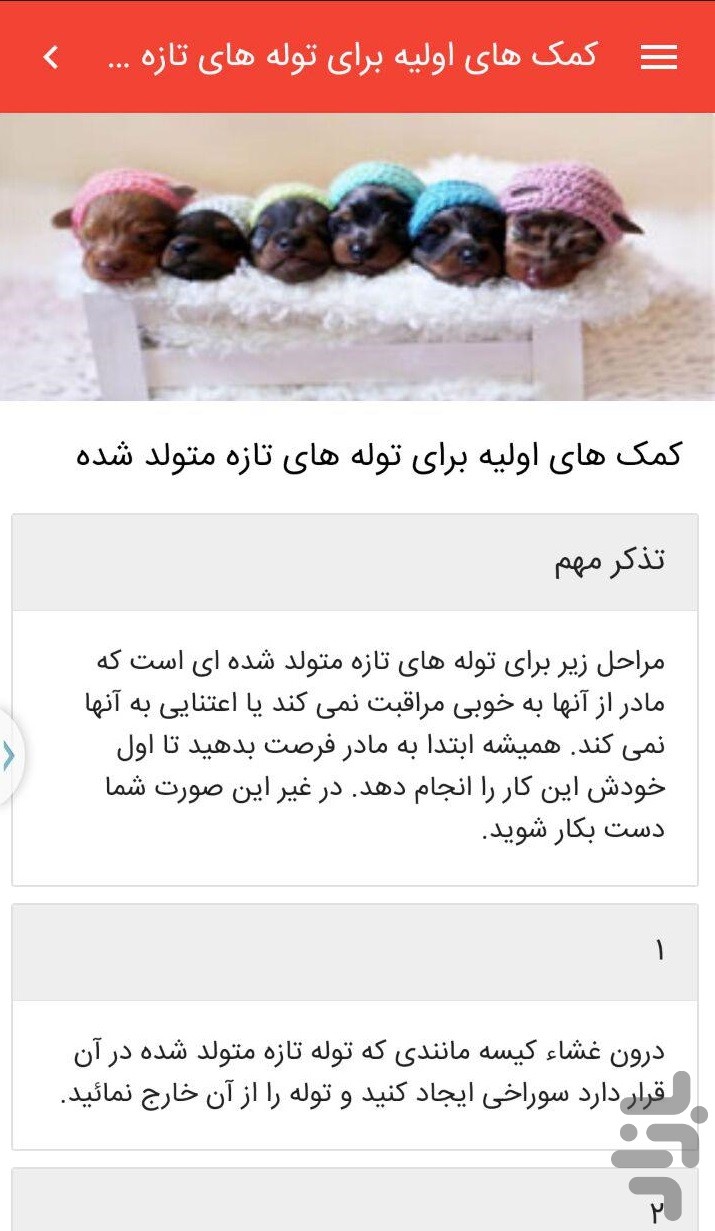 کمک های اولیه حیوانات خانگی — تصویر 6