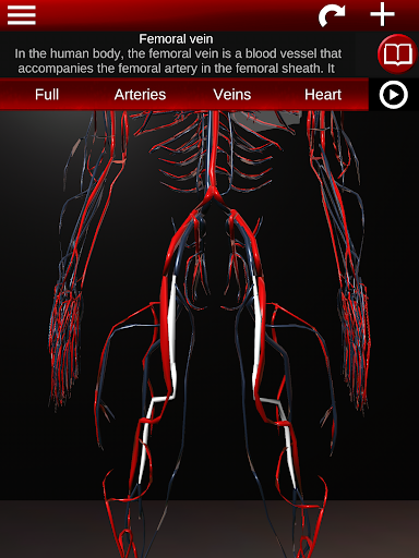 Circulatory System 3D Anatomy — تصویر 14