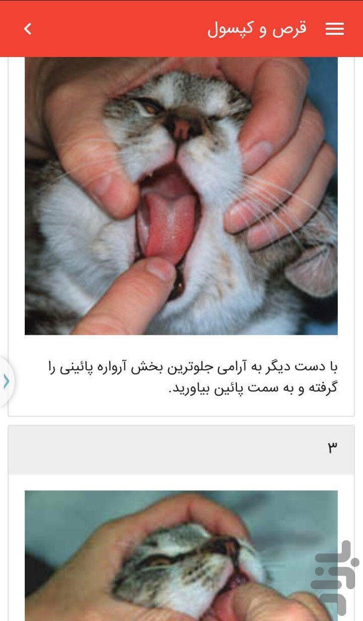 کمک های اولیه حیوانات خانگی — تصویر 3