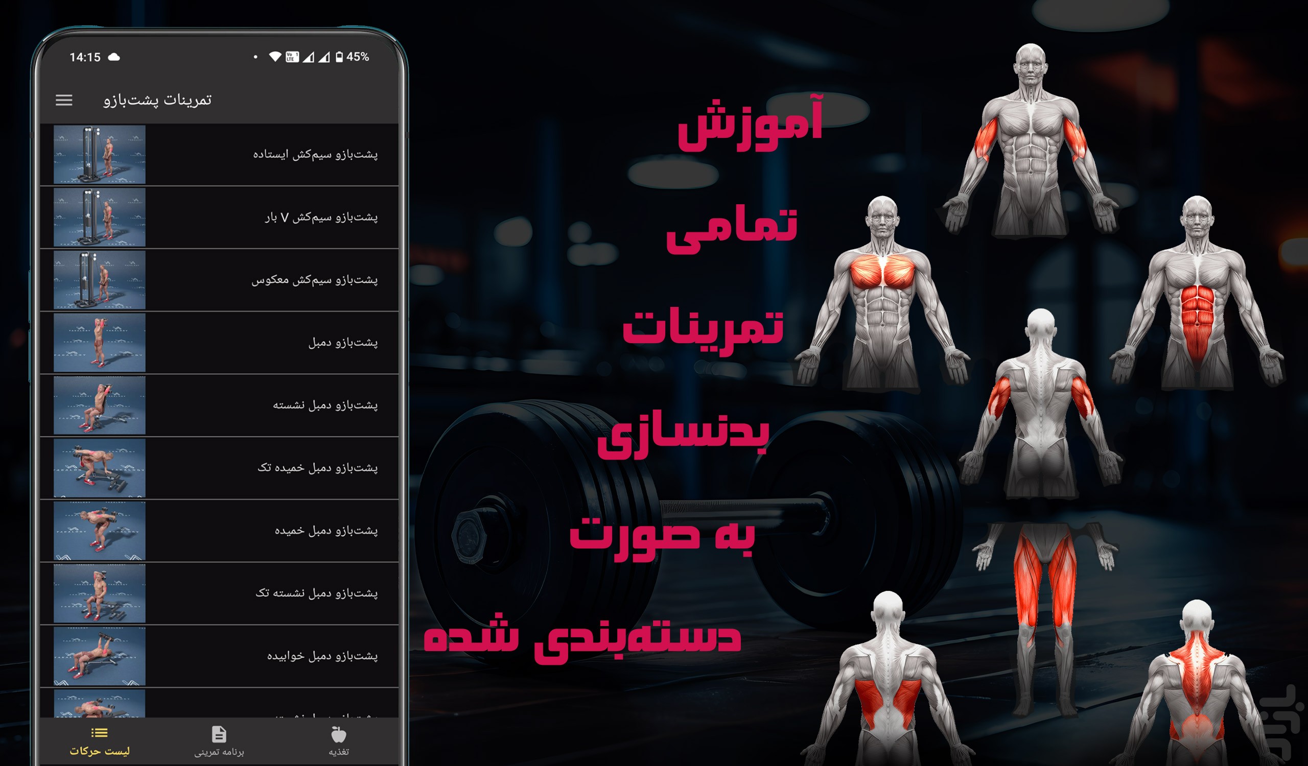 آموزش بدنسازی در باشگاه (با ویدئو) — تصویر 3