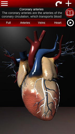Circulatory System 3D Anatomy — تصویر 5