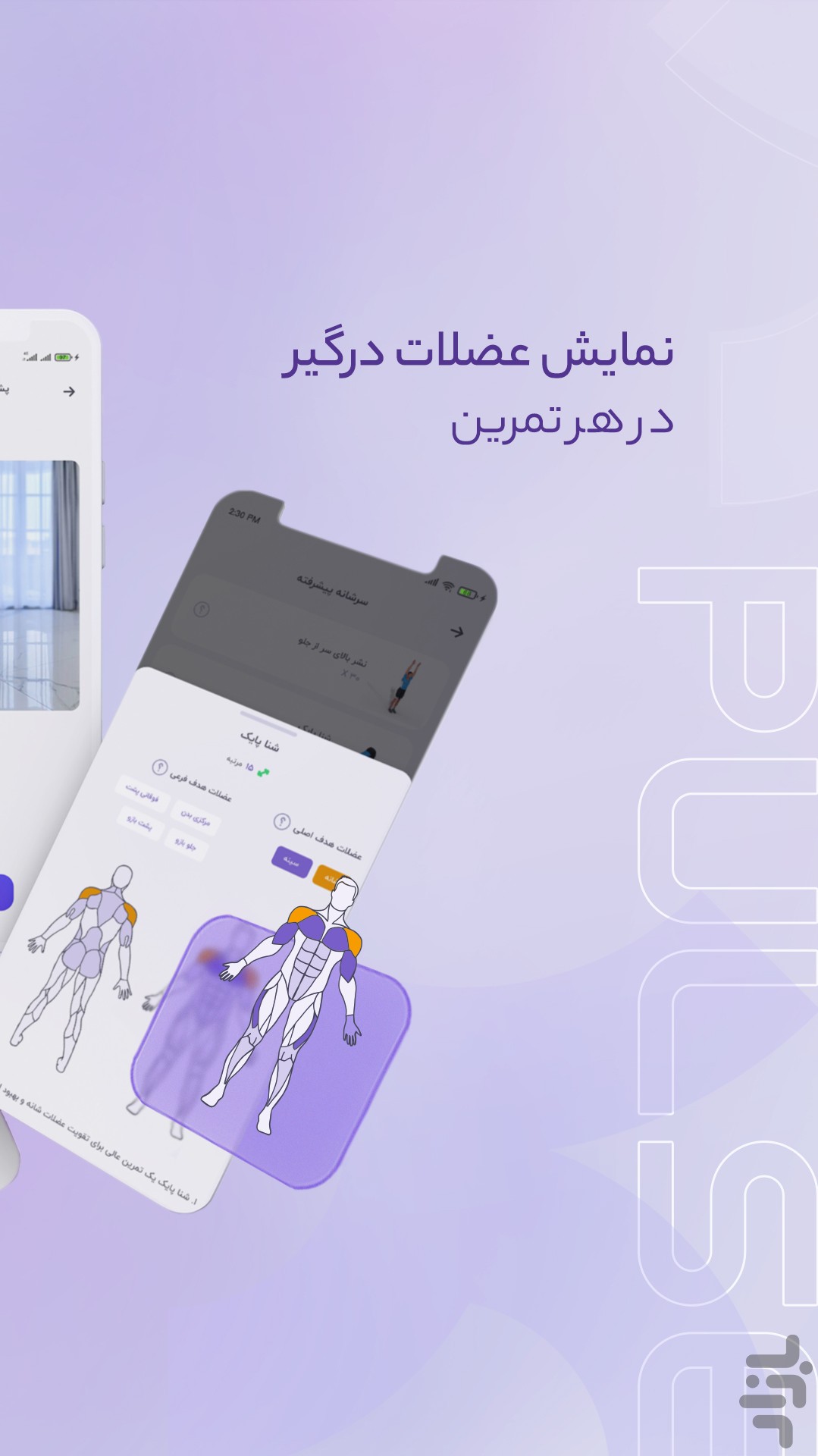 پالس | ورزش در خانه — تصویر 6