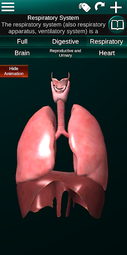 Internal Organs in 3D Anatomy — تصویر 3