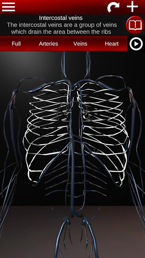 Circulatory System 3D Anatomy — تصویر 6