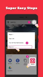 Video Downloader & Story Saver