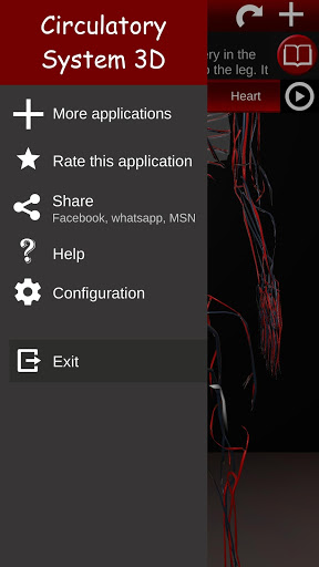 Circulatory System 3D Anatomy — تصویر 8