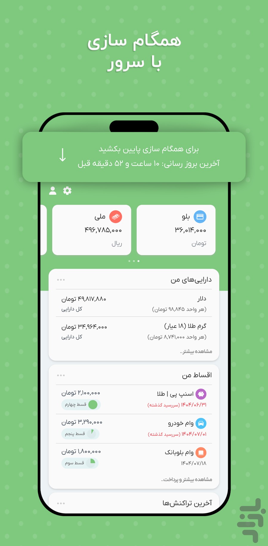 پولاتو | حسابداری شخصی — تصویر 3