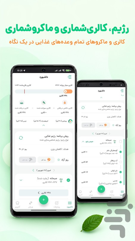 کرفس - سلامتی، رژیم و تناسب اندام — تصویر 2