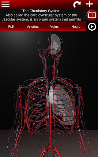 Circulatory System 3D Anatomy — تصویر 17