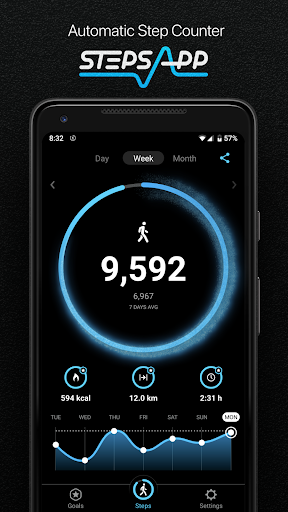 StepsApp – Step Counter — تصویر 1