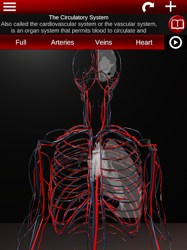 Circulatory System 3D Anatomy — تصویر 9