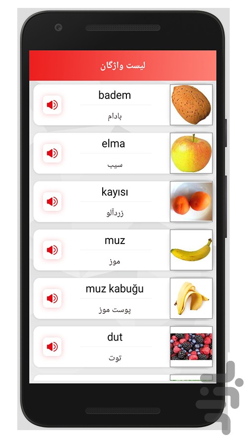 آموزش صوتی ترکی استانبولی — تصویر 5