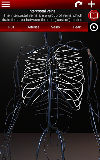 Circulatory System 3D Anatomy — تصویر 19