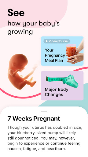 Flo Ovulation & Period Tracker — تصویر 5