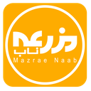 نان مزرعه