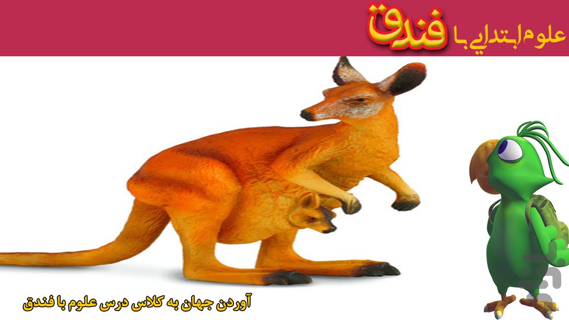 فندق(علوم و ریاضی پیش و ابتدایی ) — تصویر 11