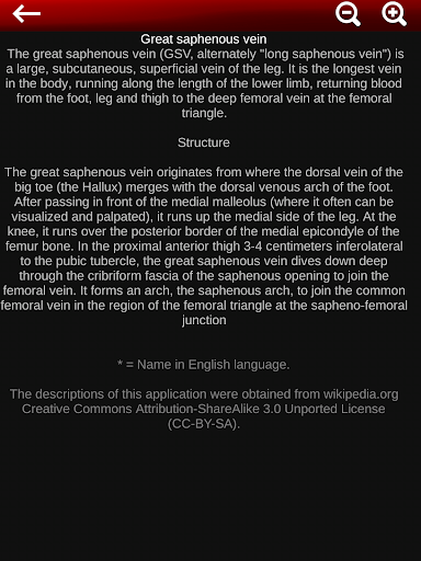 Circulatory System 3D Anatomy — تصویر 15