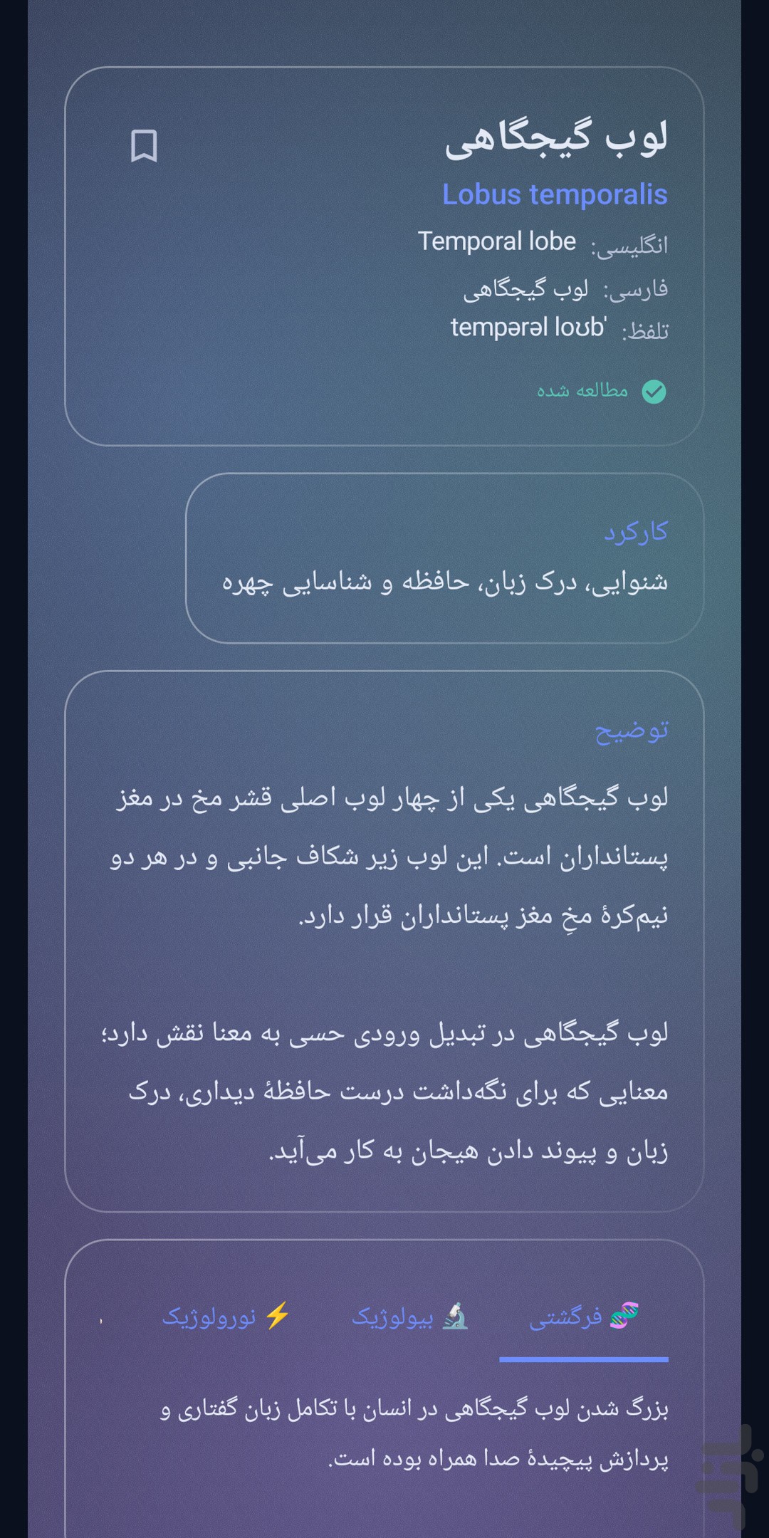 مغزینو — تصویر 4