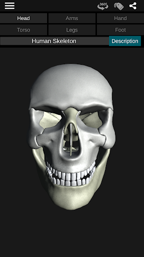Osseous System in 3D (Anatomy) — تصویر 1