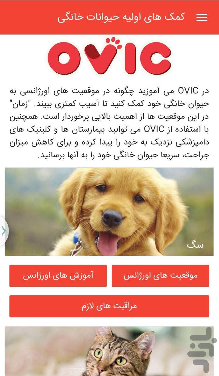 کمک های اولیه حیوانات خانگی — تصویر 1