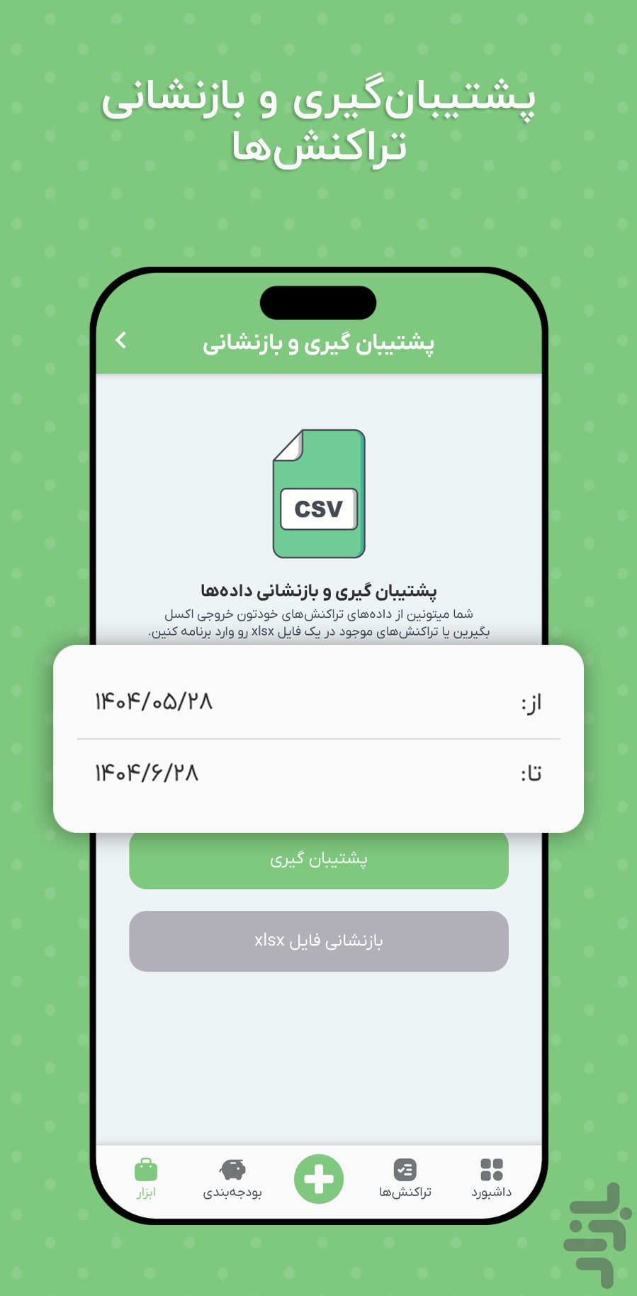 پولاتو | حسابداری شخصی — تصویر 10