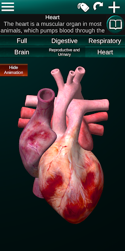 Internal Organs in 3D Anatomy — تصویر 5