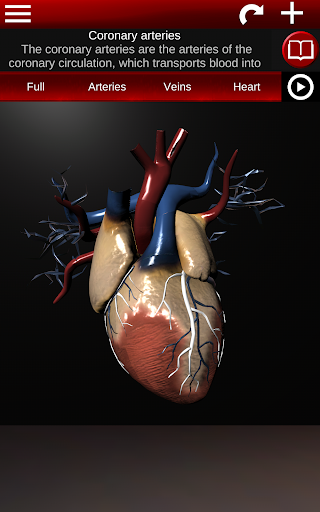 Circulatory System 3D Anatomy — تصویر 21
