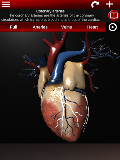 Circulatory System 3D Anatomy — تصویر 12