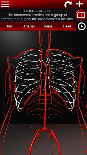 Circulatory System 3D Anatomy — تصویر 3
