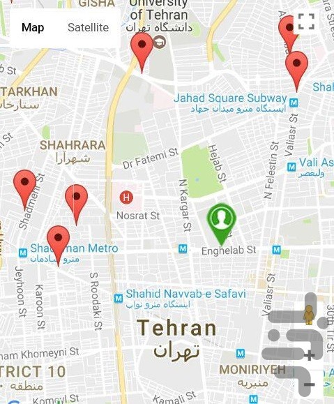 کمک های اولیه حیوانات خانگی — تصویر 2