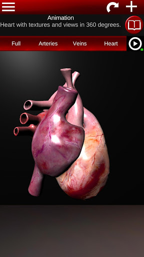 Circulatory System 3D Anatomy — تصویر 2