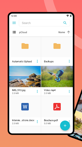 pCloud: Cloud Storage — تصویر 1