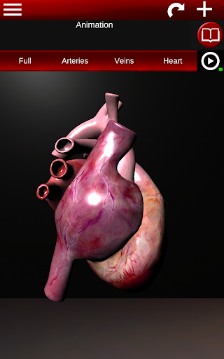 Circulatory System 3D Anatomy — تصویر 18