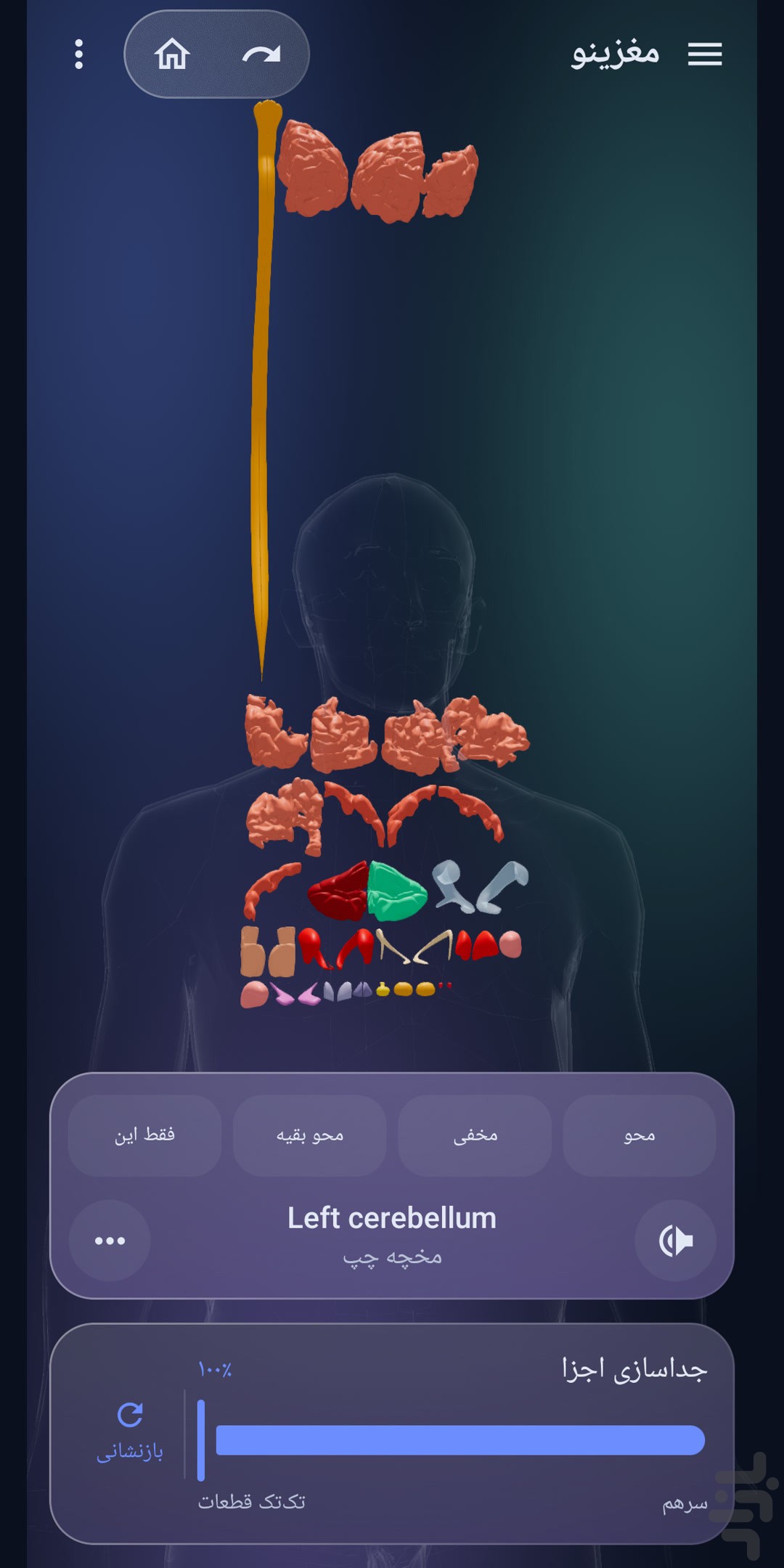 مغزینو — تصویر 2