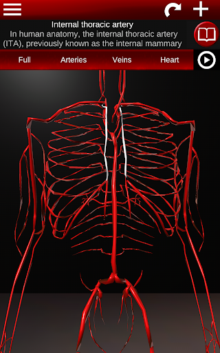 Circulatory System 3D Anatomy — تصویر 20