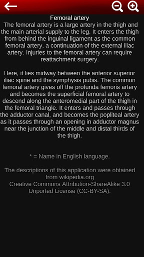 Circulatory System 3D Anatomy — تصویر 7