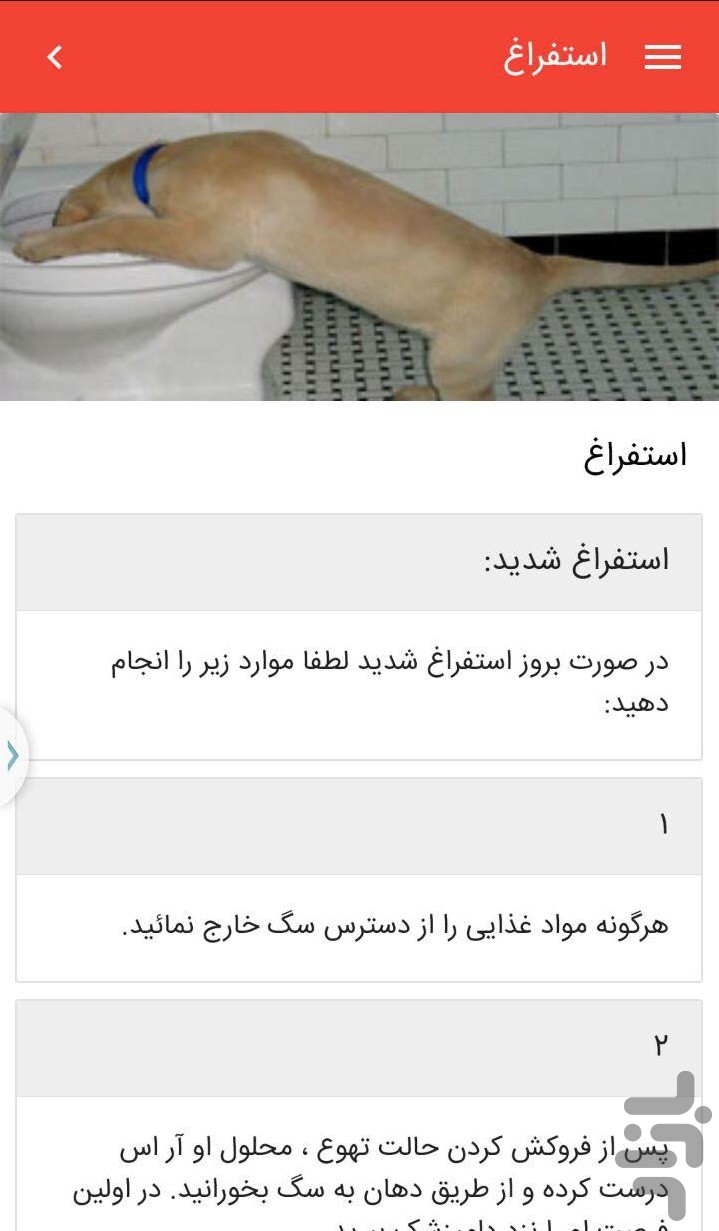 کمک های اولیه حیوانات خانگی — تصویر 8