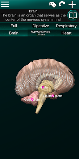 Internal Organs in 3D Anatomy — تصویر 7