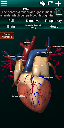 Internal Organs in 3D Anatomy — تصویر 2