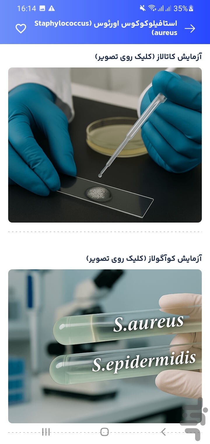 تتاک | مرجع علوم آزمایشگاهی — تصویر 8