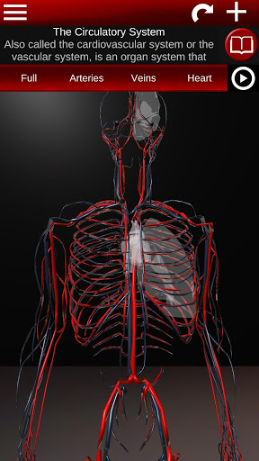 Circulatory System 3D Anatomy — تصویر 1