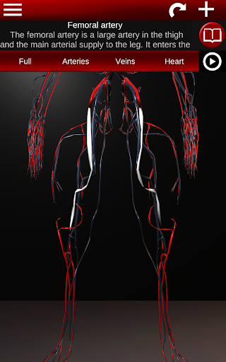 Circulatory System 3D Anatomy — تصویر 22