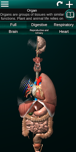 Internal Organs in 3D Anatomy — تصویر 1