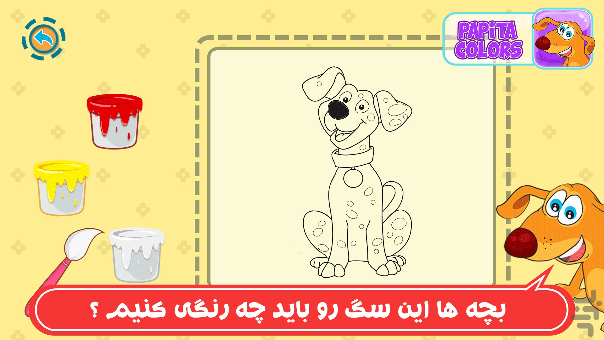 پاپیتا رنگی — تصویر 3